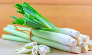 SEREH11 Resep Minuman Segar Menyehatkan dari Sereh dan Jahe