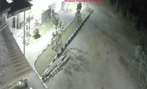 Harimau muncul di halaman masjid