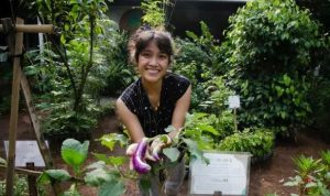 Kasandra11 Kebun Kumara Cassandra