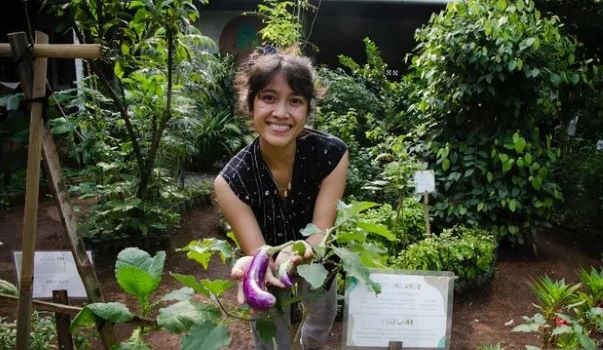 Kebun Kumara Cassandra