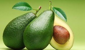 buah alpukat